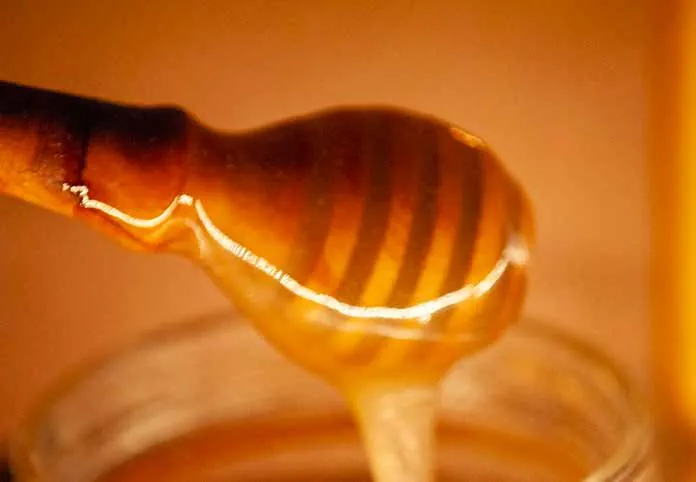Miel doré qui coule d’une cuillère dans un pot.